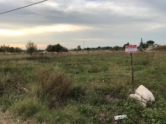 Immagine per Terreno Agricolo in vendita a San Nicandro Garganico Contrada Pilarossa snc