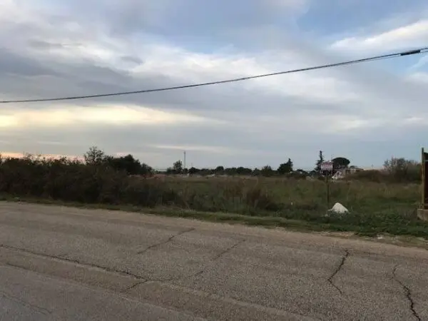 Terreno Agricolo via Contrada Pilarossa Snc, San Nicandro Garganico
