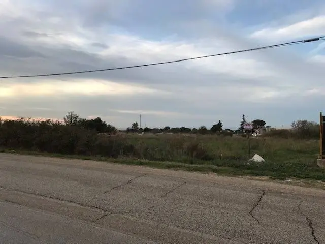 Immagine per Terreno Agricolo in vendita a San Nicandro Garganico Contrada Pilarossa snc