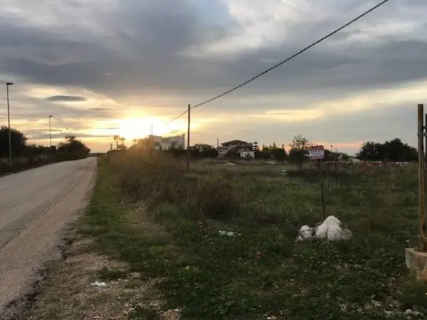 Terreno Agricolo via Contrada Pilarossa Snc, San Nicandro Garganico