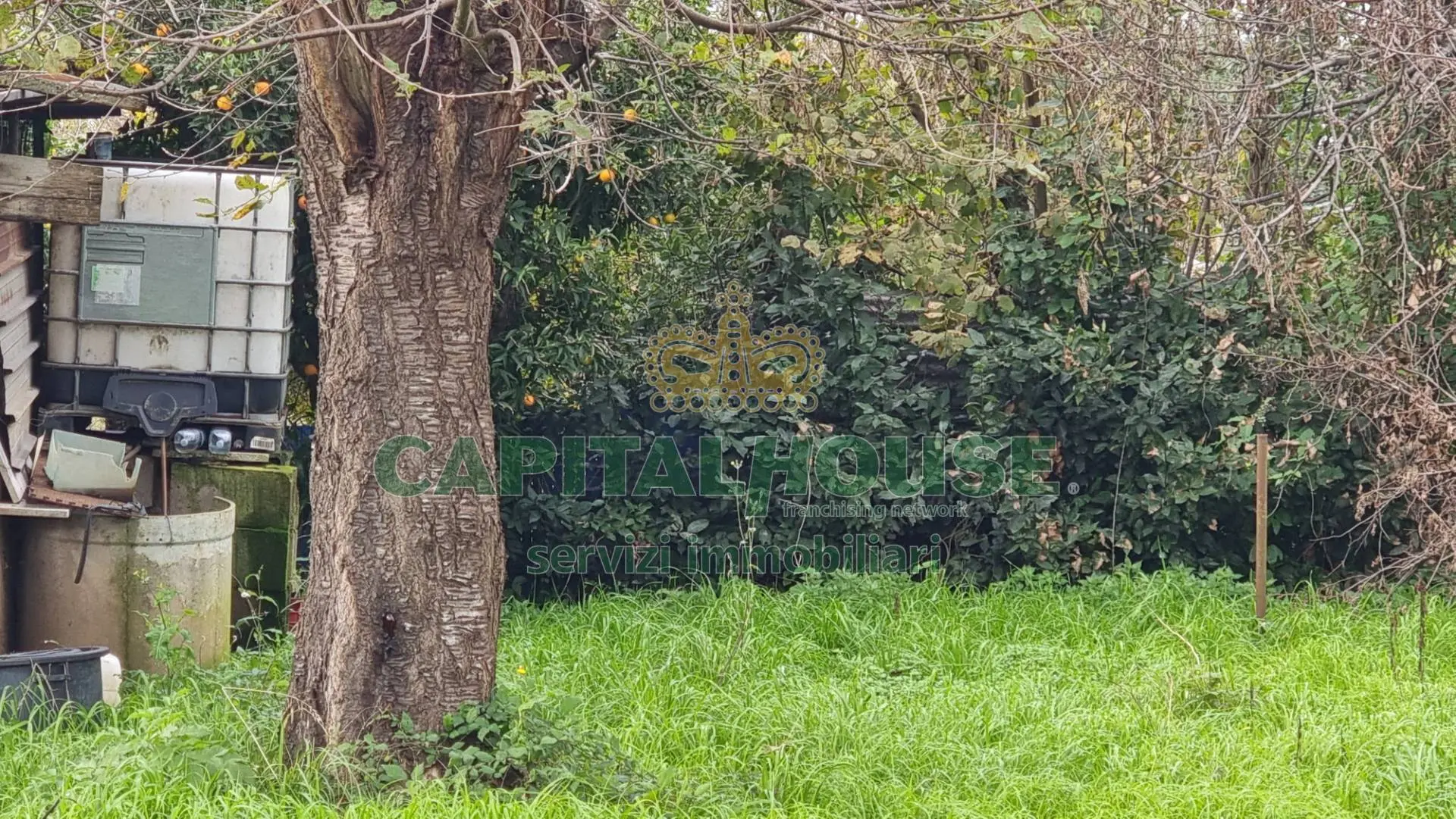 Immagine per Terreno Agricolo in vendita a Marcianise  