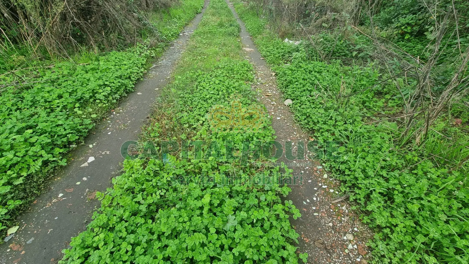 Immagine per Terreno Agricolo in vendita a Marcianise  