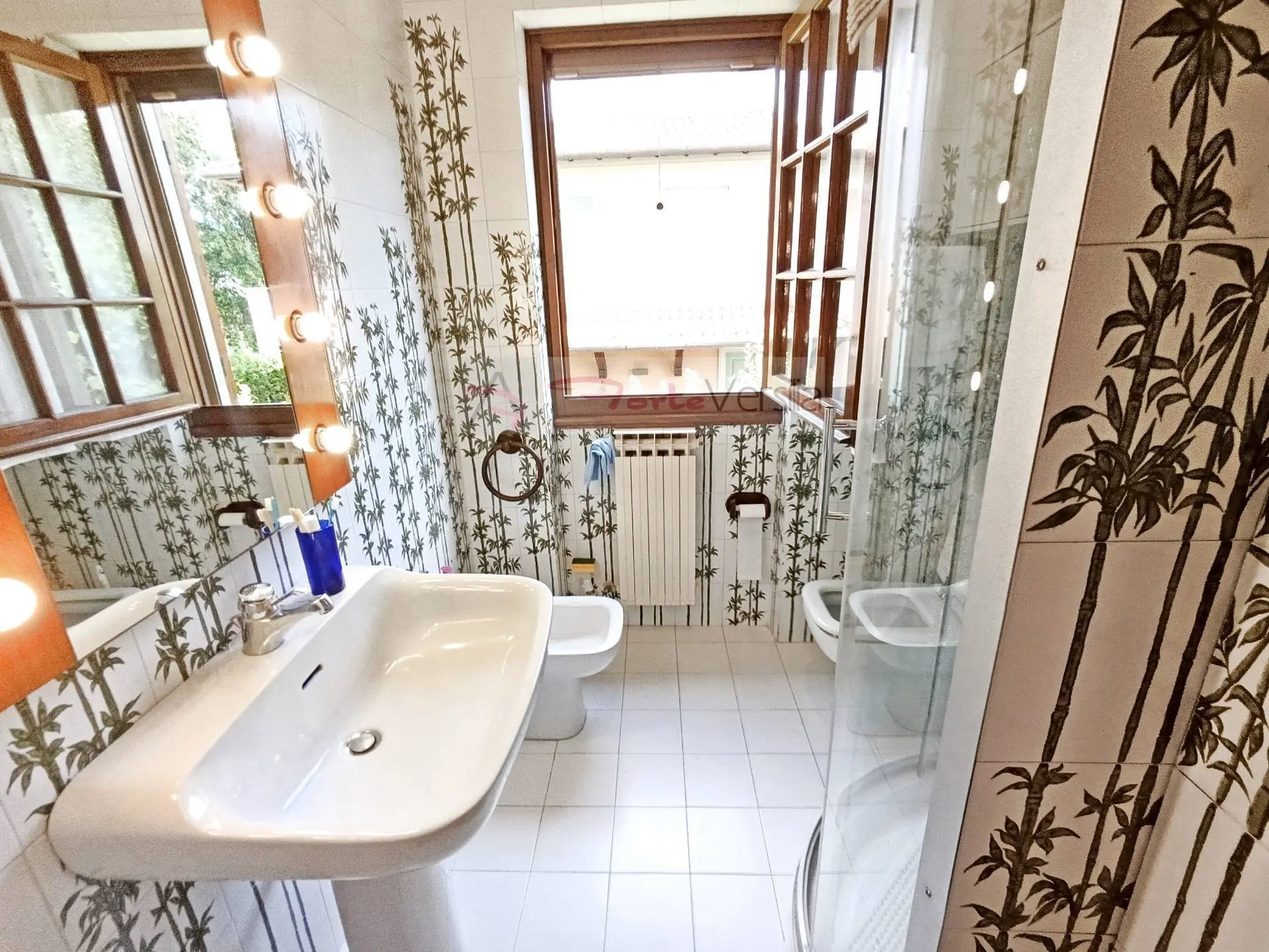Immagine per Villa in vendita a Forte dei Marmi  