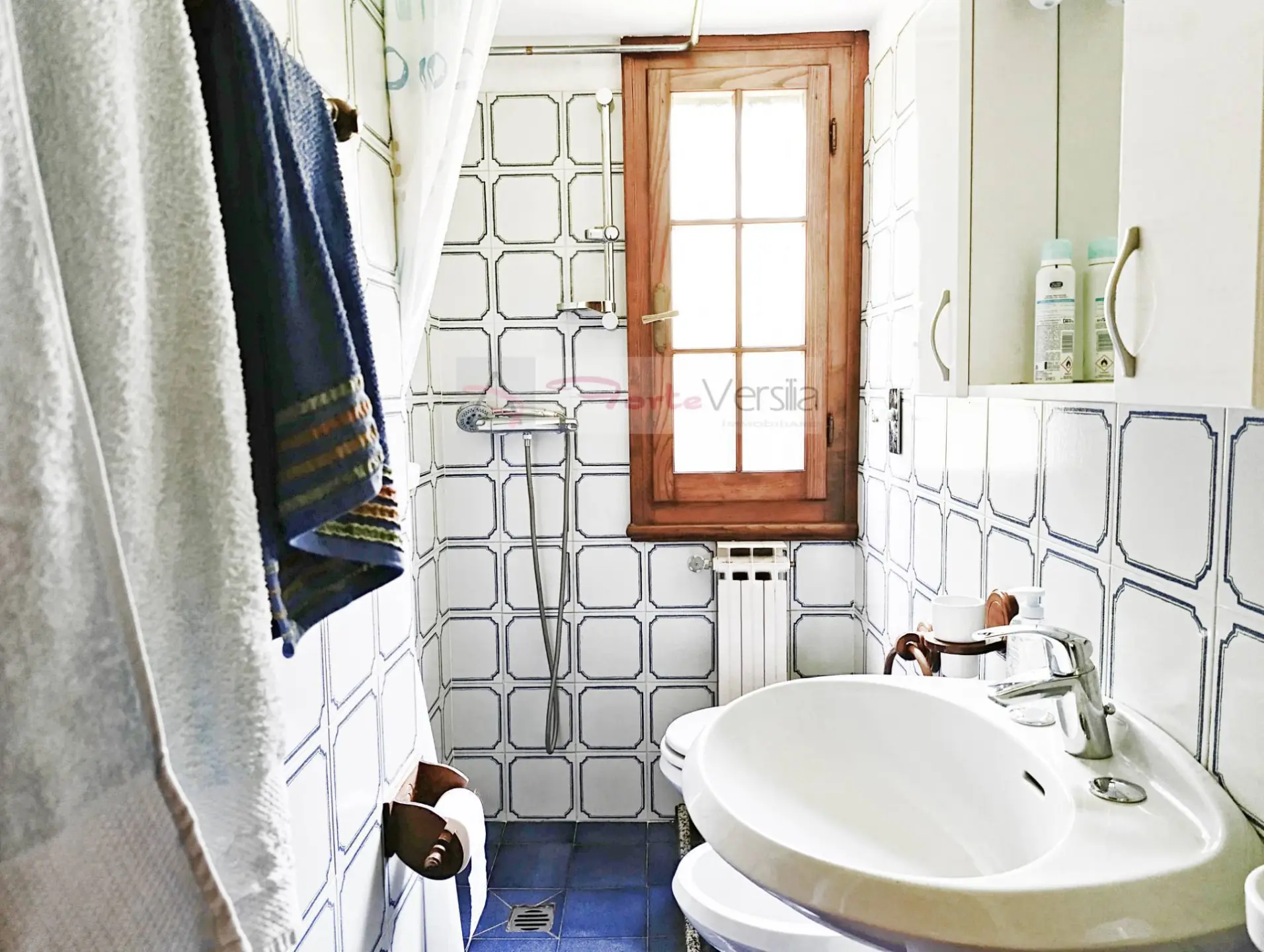 Immagine per Villa in vendita a Forte dei Marmi  