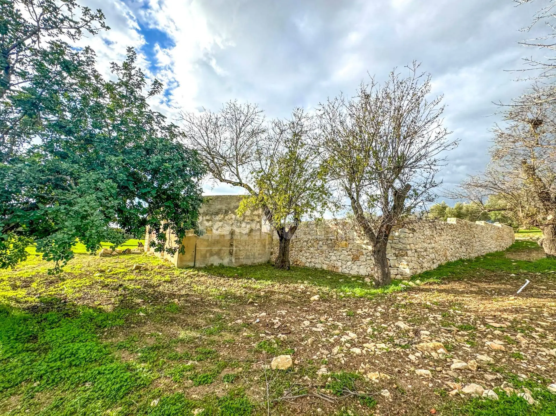Immagine per Rustico/Casale in vendita a Noto contrada Buonivini 