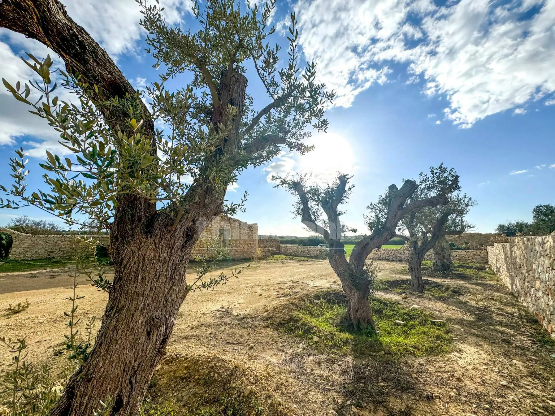 Immagine per Rustico/Casale in vendita a Noto contrada Buonivini 