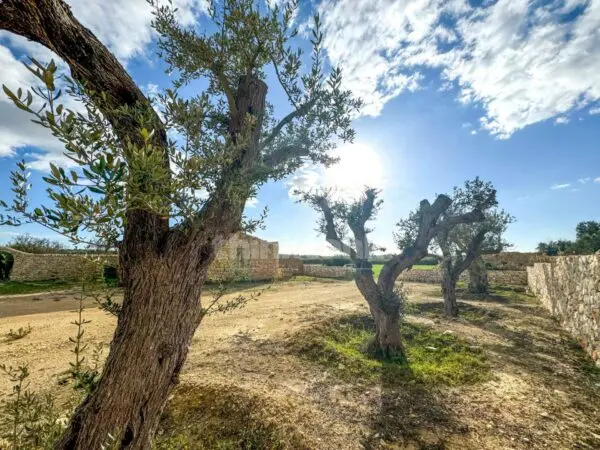 Rustico/Casale via Contrada Buonivini, Noto