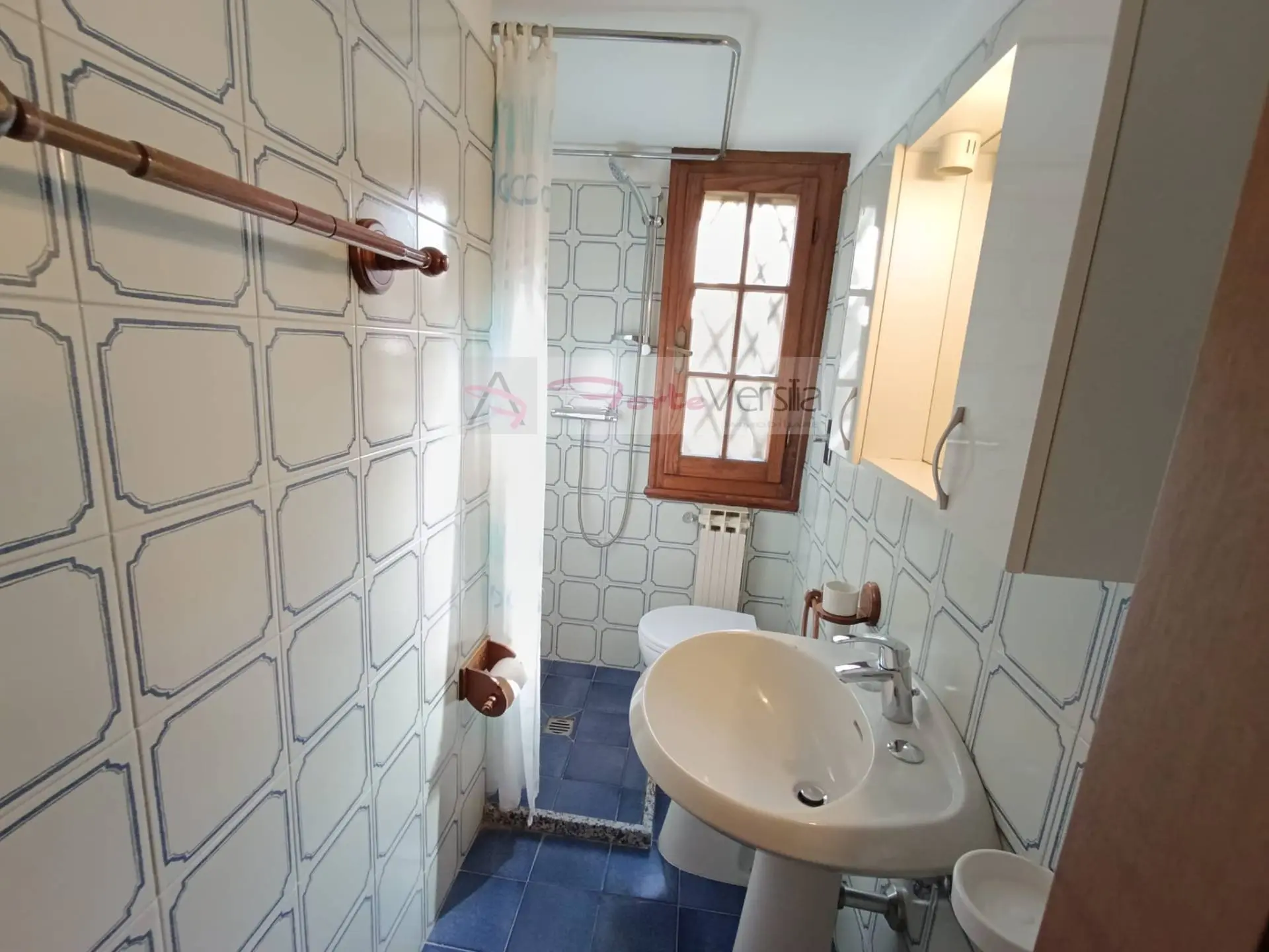 Immagine per Villa in vendita a Forte dei Marmi  