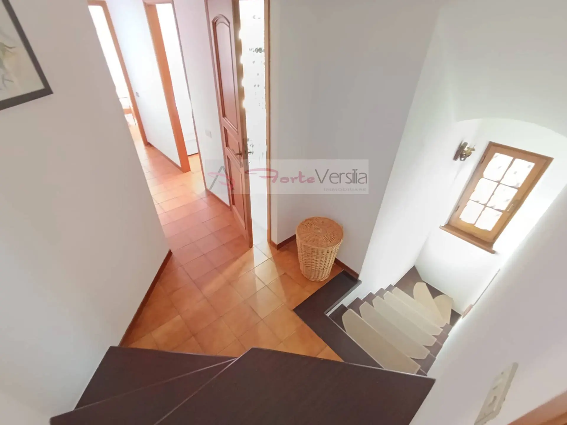 Immagine per Villa in vendita a Forte dei Marmi  