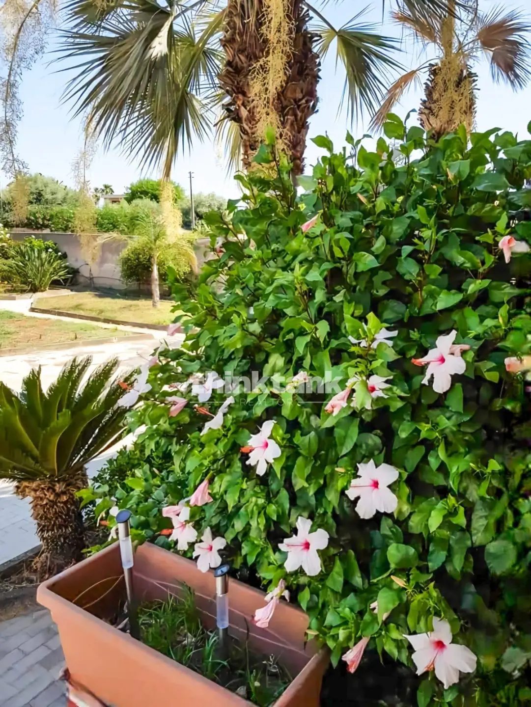 Immagine per Villa in vendita a Siracusa Strada Capo Murro di Porco 