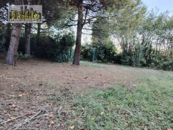 Casa Indipendente via Contrada Ciafone, Offida