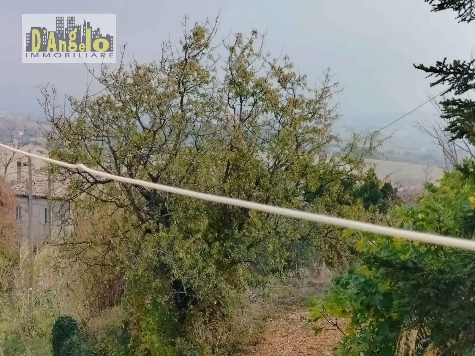 Immagine per Rustico/Casale in vendita a Offida Contrada Castiglioni 67