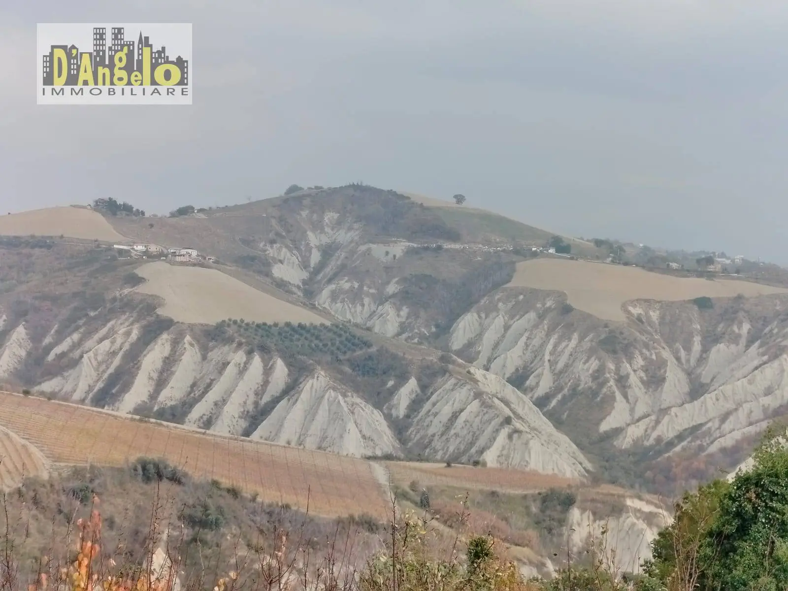 Immagine per Rustico/Casale in vendita a Offida Contrada Castiglioni 67