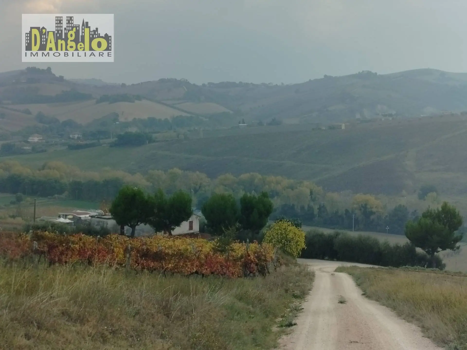 Immagine per Rustico/Casale in vendita a Offida Contrada Castiglioni 67