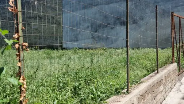 Terreno Edificabile via, San Tammaro