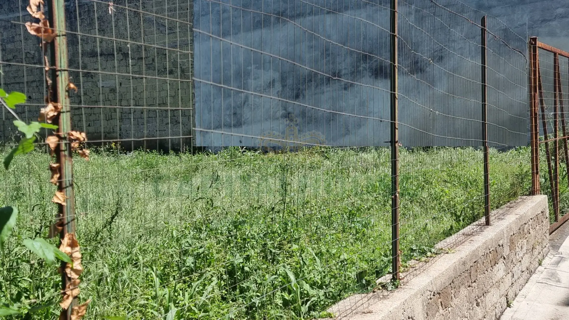 Immagine per Terreno Edificabile in vendita a San Tammaro  