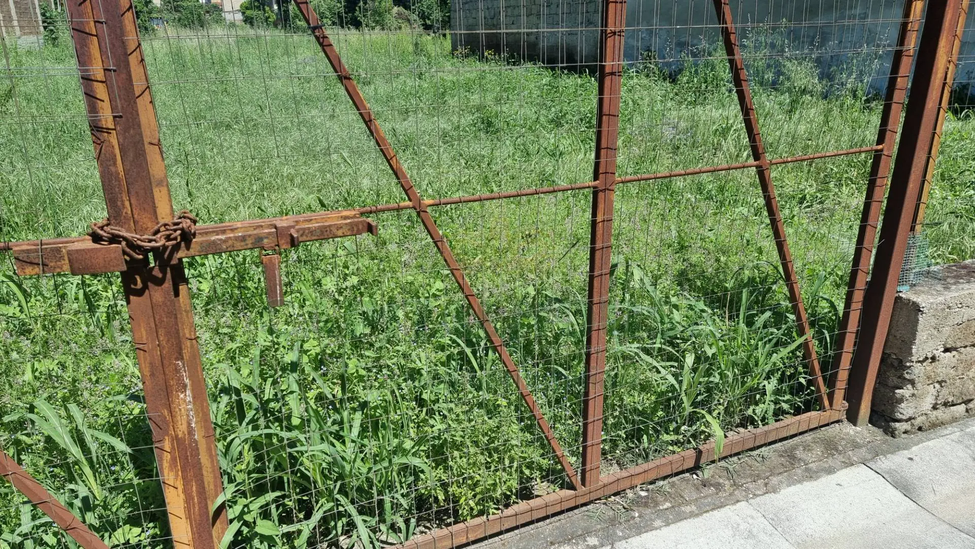 Immagine per Terreno Edificabile in vendita a San Tammaro  