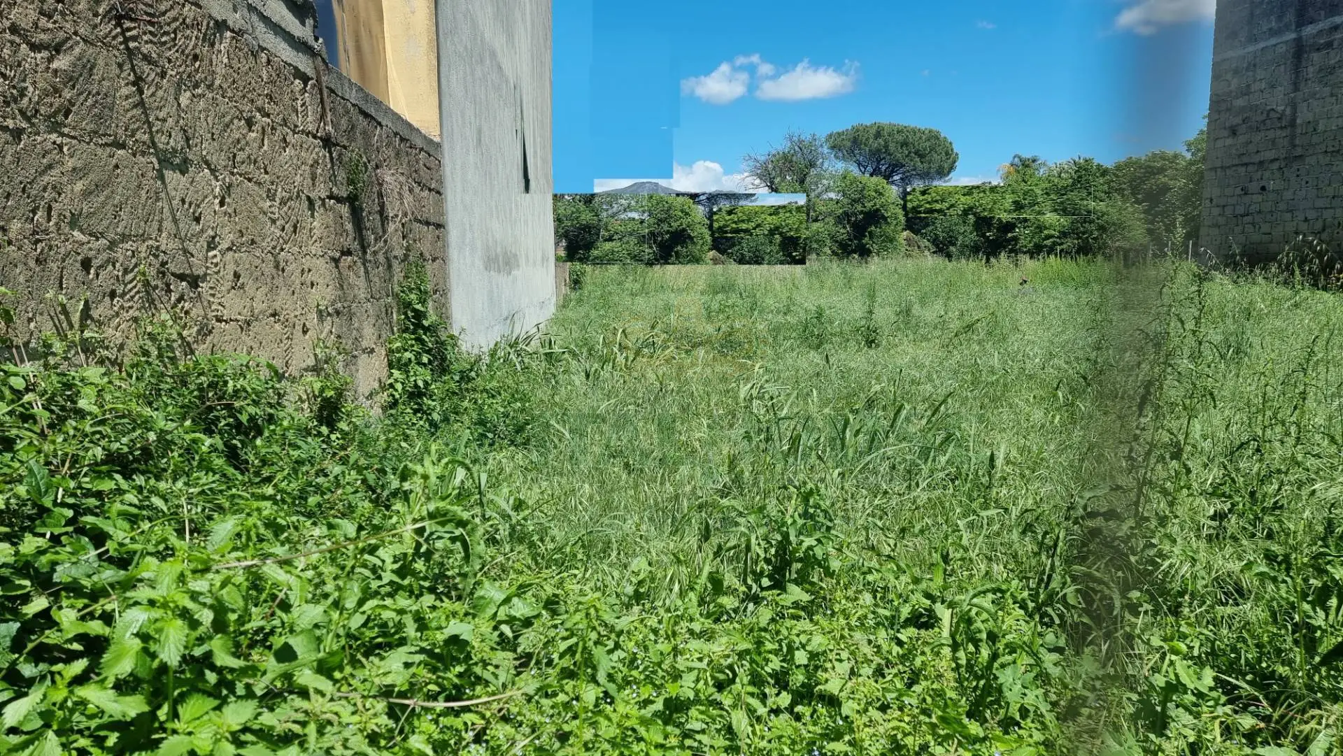 Immagine per Terreno Edificabile in vendita a San Tammaro  