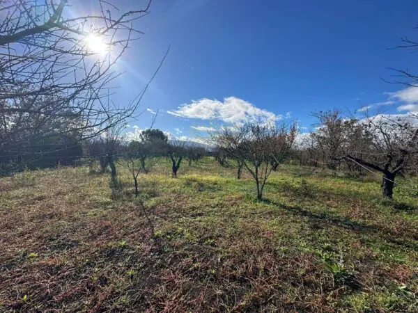 Terreno Agricolo via Vicinale Ottanta Moggia, Massa Di Somma