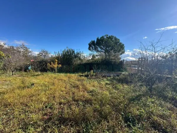Terreno Agricolo via Vicinale Ottanta Moggia, Massa Di Somma