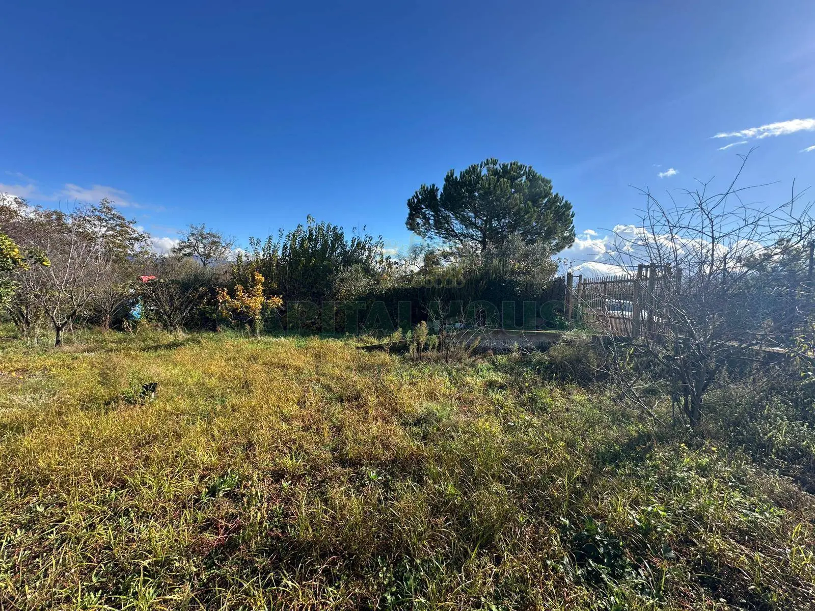 Immagine per Terreno Agricolo in vendita a Massa di Somma via vicinale ottanta moggia 