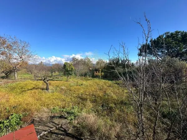Terreno Agricolo via Vicinale Ottanta Moggia, Massa Di Somma