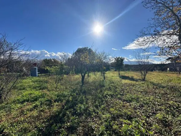 Terreno Agricolo via Vicinale Ottanta Moggia, Massa Di Somma