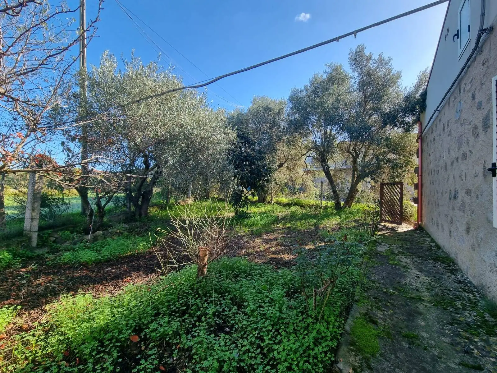 Immagine per Casa indipendente in vendita a Villaspeciosa Via Grazia Deledda 