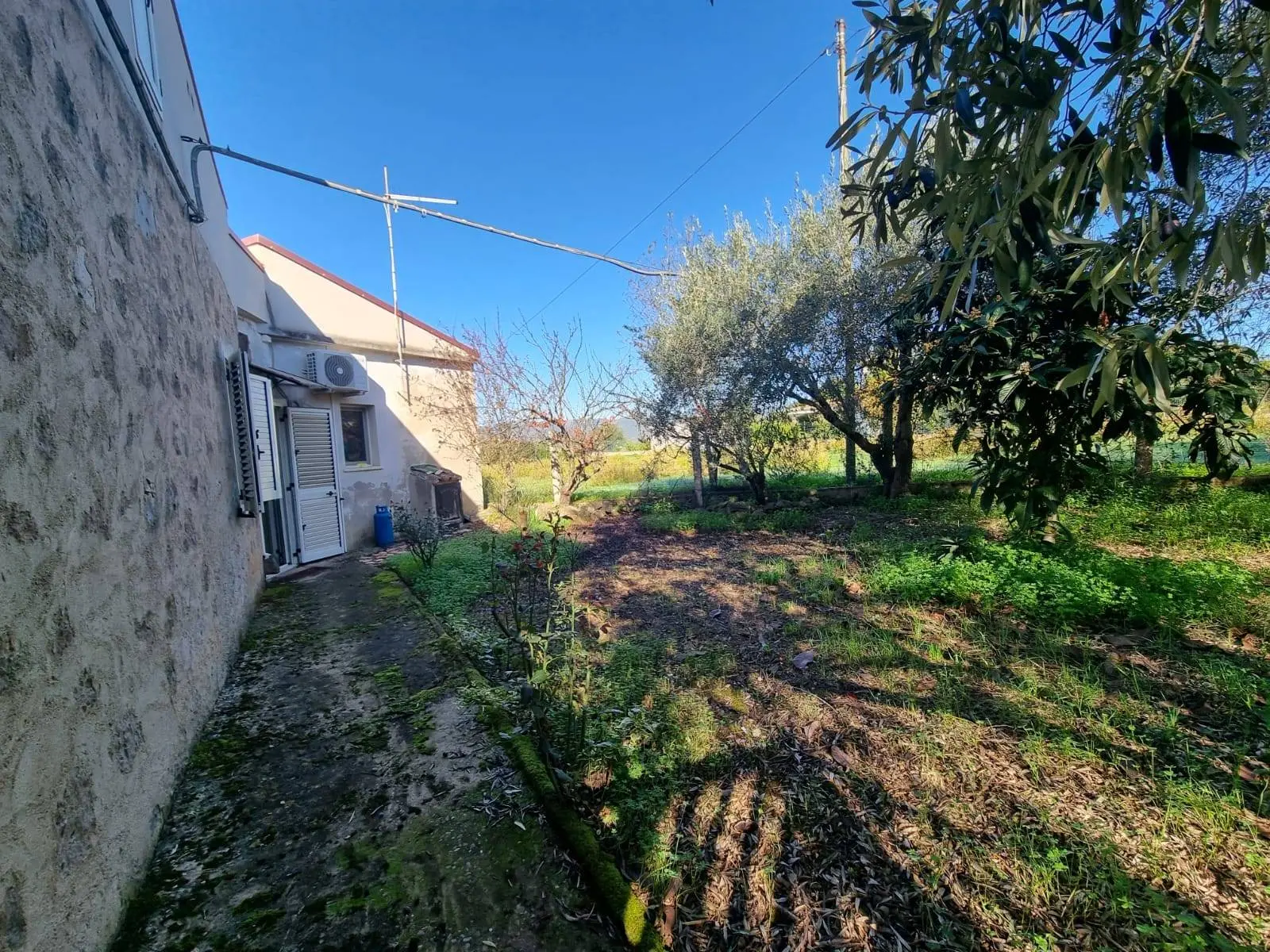 Immagine per Casa indipendente in vendita a Villaspeciosa Via Grazia Deledda 