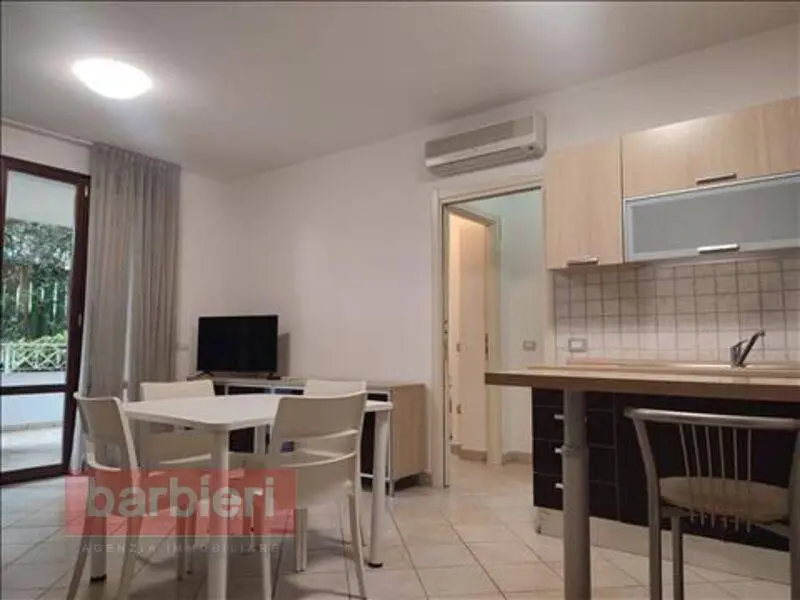 Immagine per Appartamento in vendita a Cervia Viale Dante 59/A
