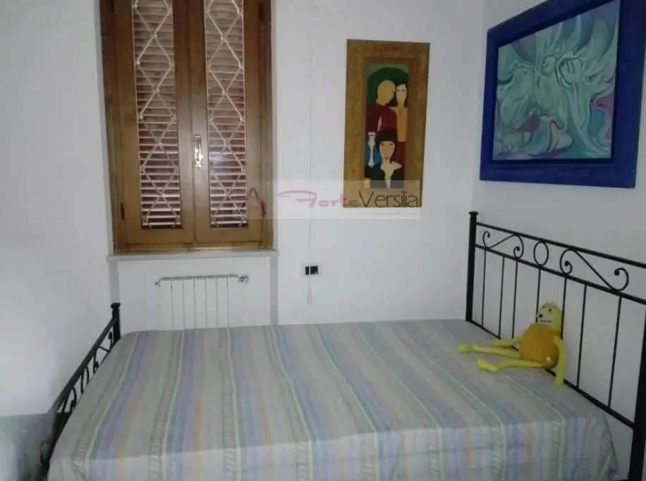 Immagine per Villa in vendita a Forte dei Marmi  