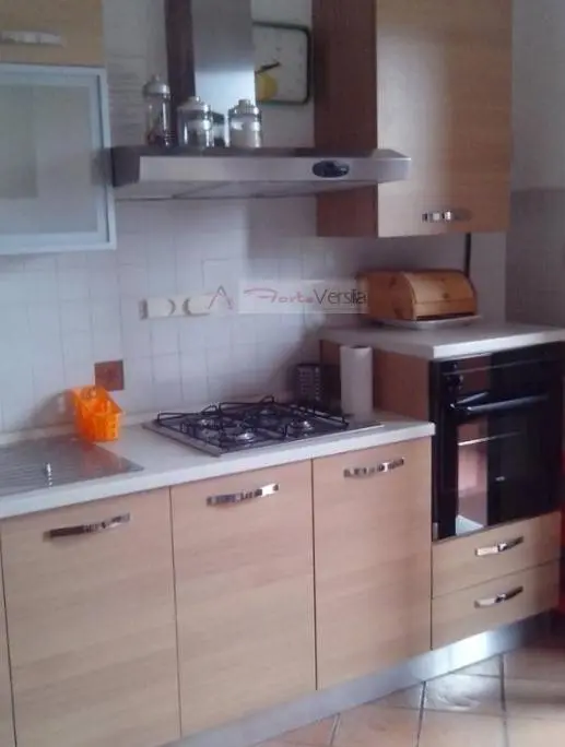 Immagine per Villa in vendita a Forte dei Marmi  