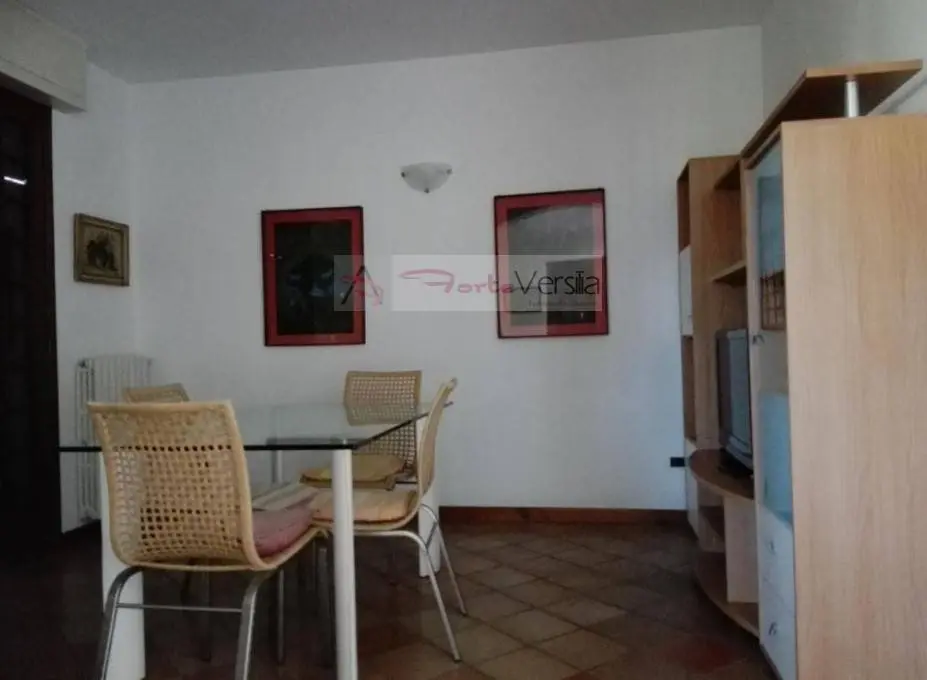 Immagine per Villa in vendita a Forte dei Marmi  