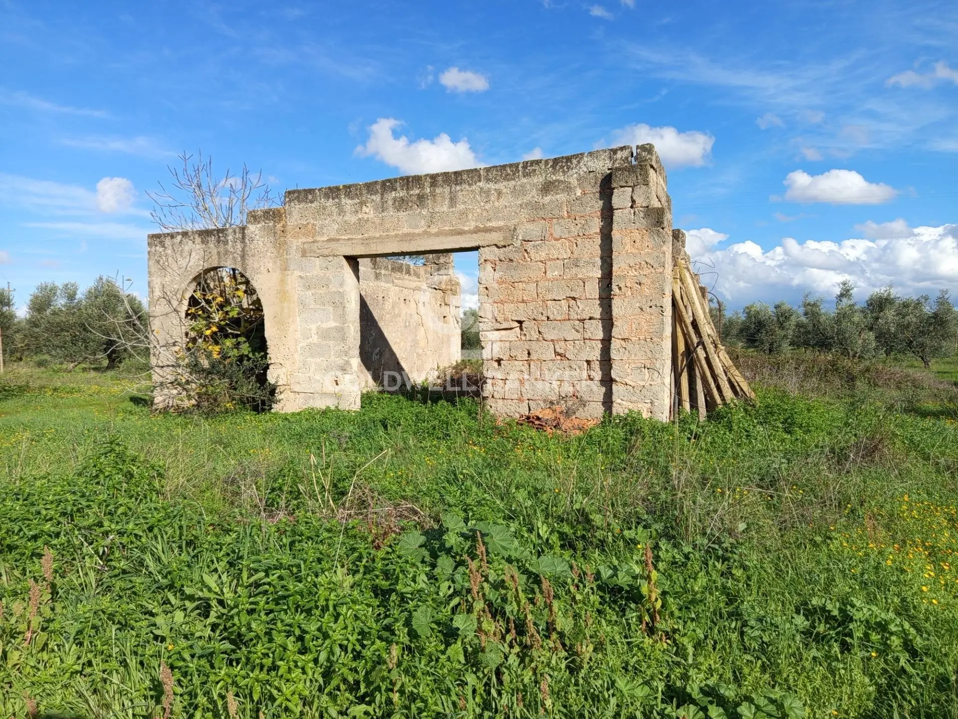 Immagine per Rustico/Casale in vendita a Galatina Contrada Vita Case Rosse 