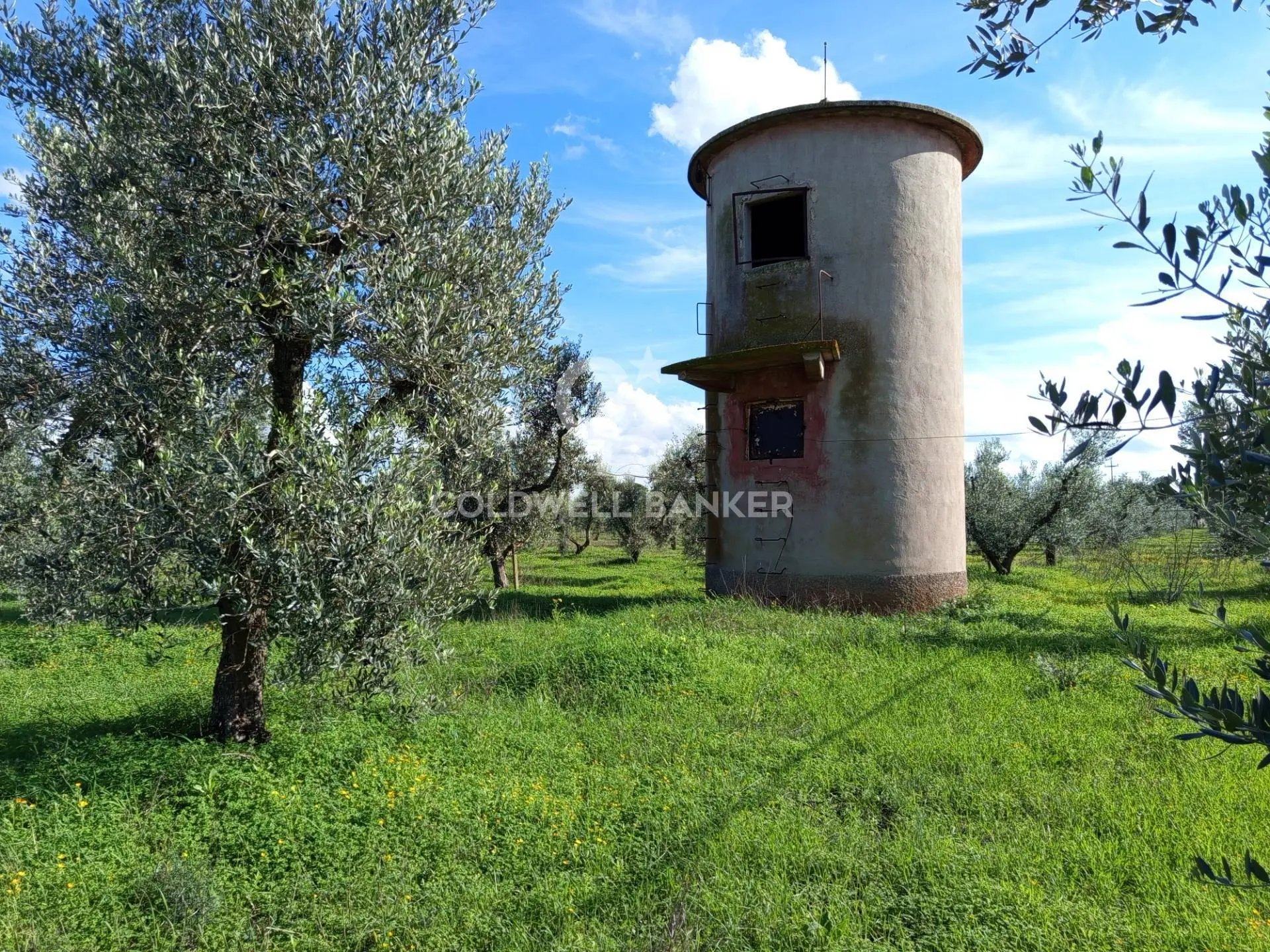 Immagine per Rustico/Casale in vendita a Galatina Contrada Vita Case Rosse 