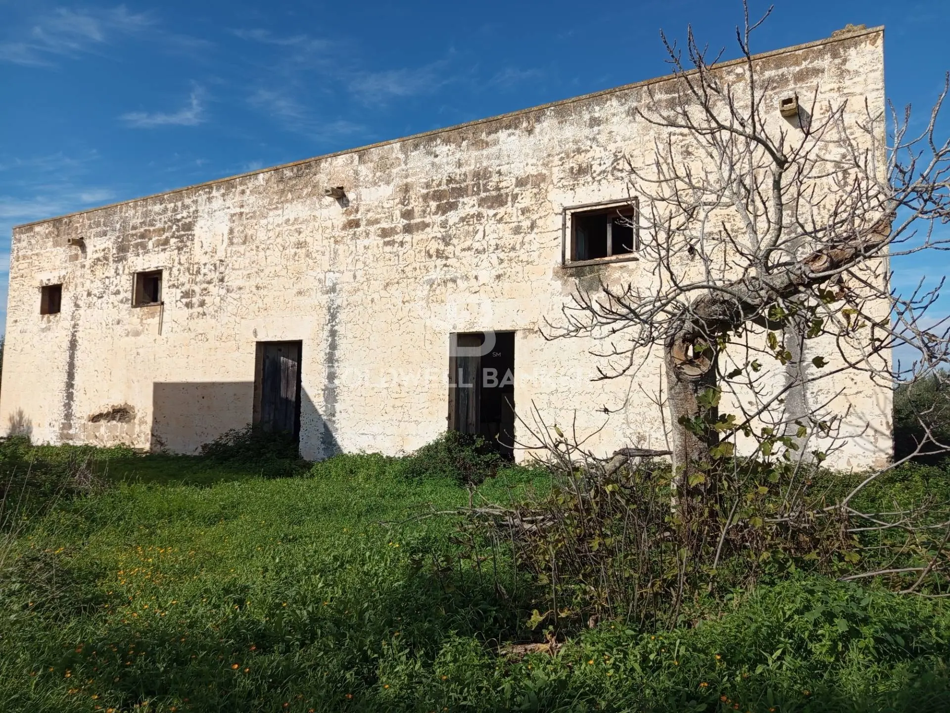 Immagine per Rustico/Casale in vendita a Galatina Contrada Vita Case Rosse 