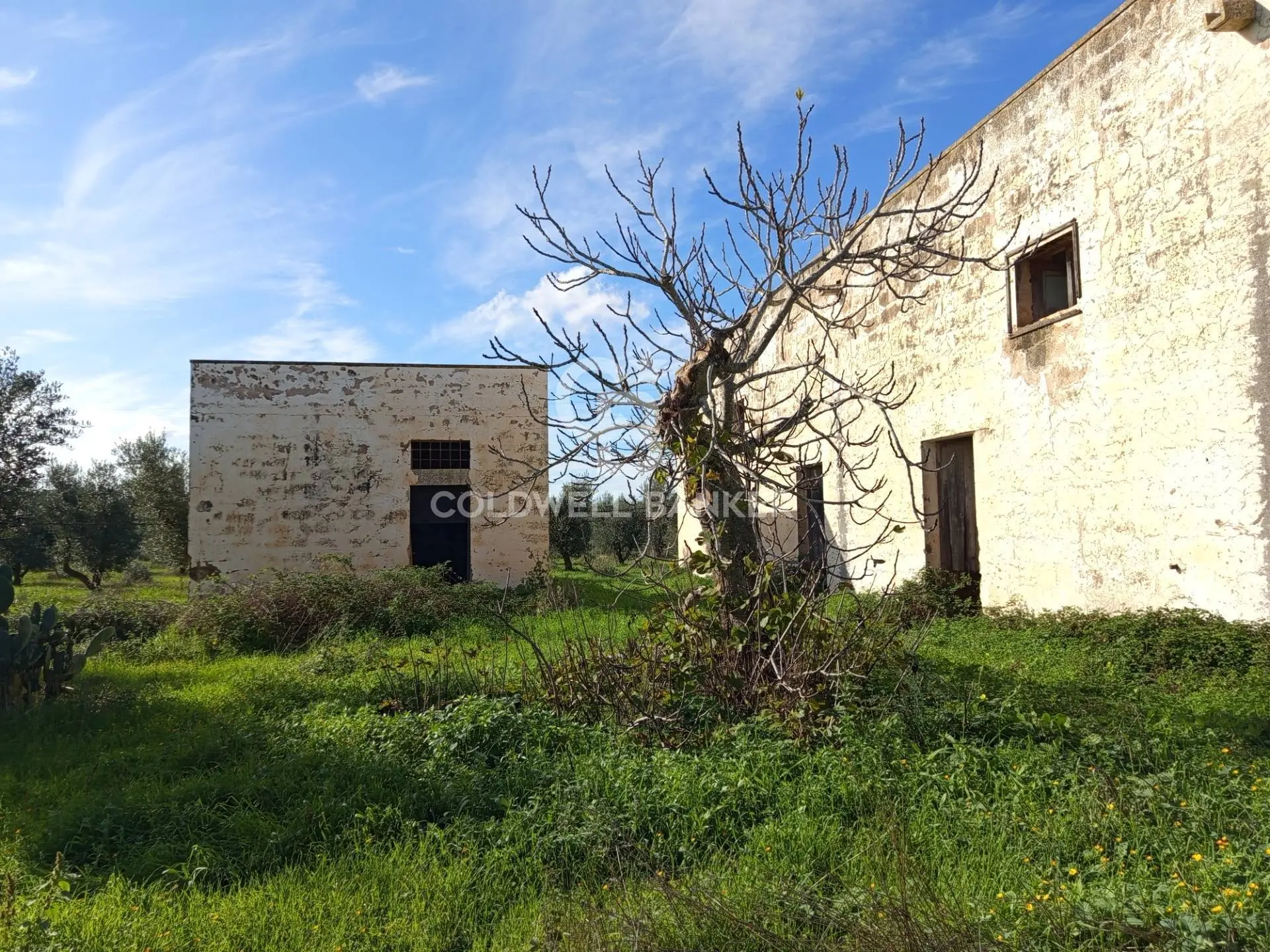 Immagine per Rustico/Casale in vendita a Galatina Contrada Vita Case Rosse 