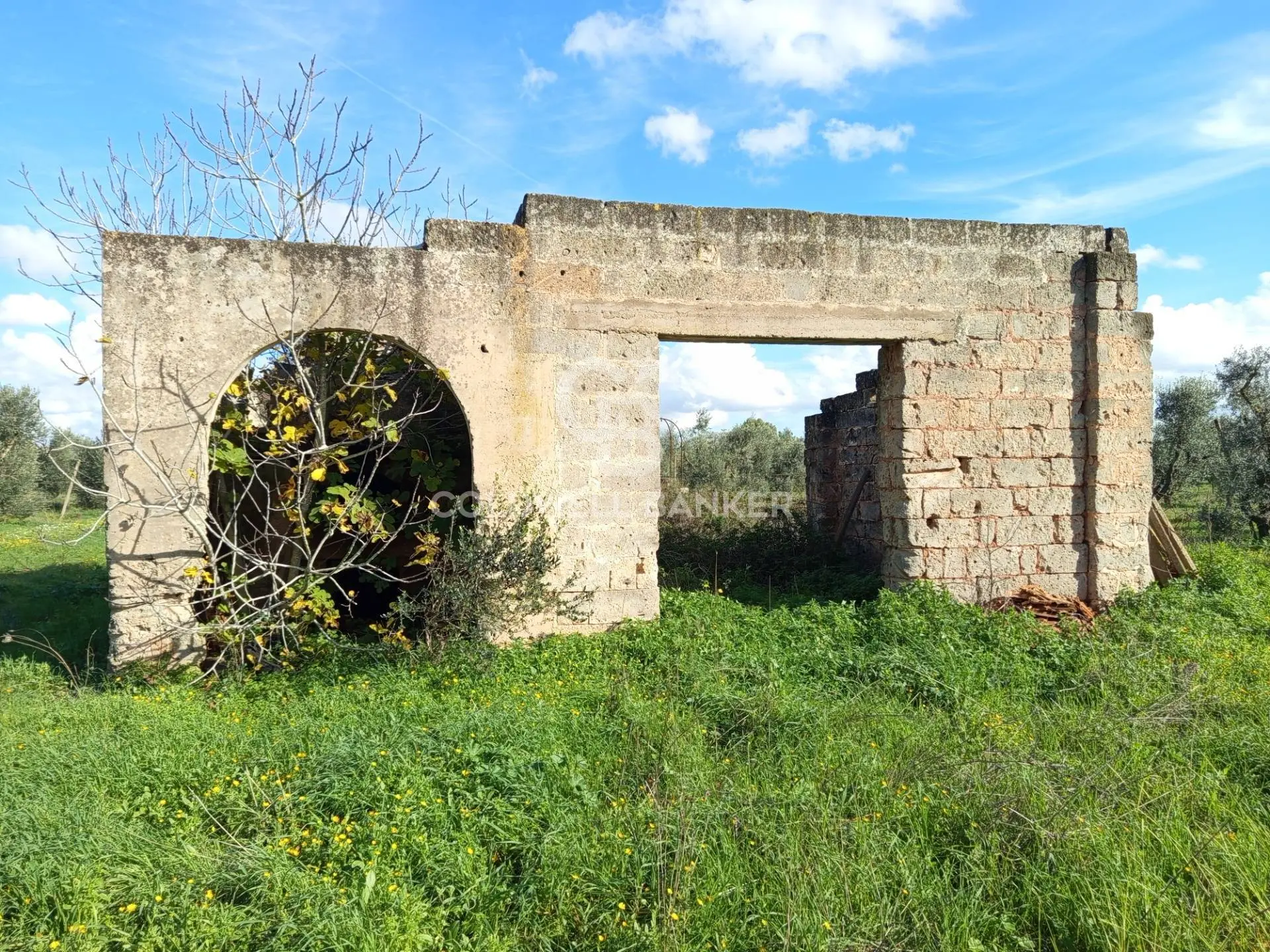 Immagine per Rustico/Casale in vendita a Galatina Contrada Vita Case Rosse 