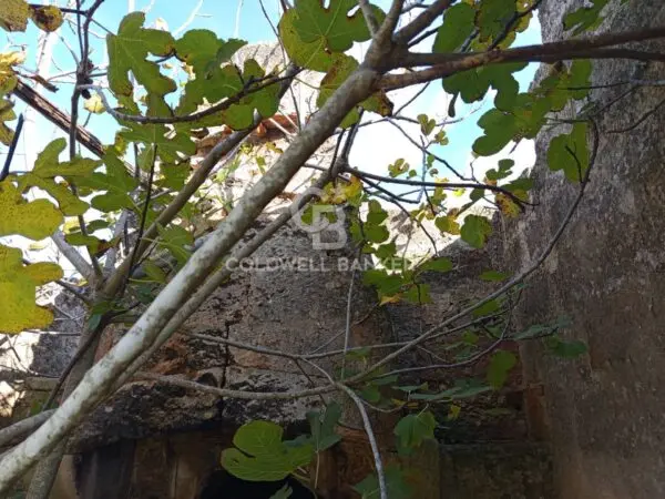Rustico/Casale via Contrada Vita Case Rosse, Galatina
