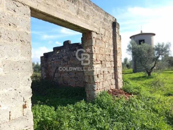 Rustico/Casale via Contrada Vita Case Rosse, Galatina