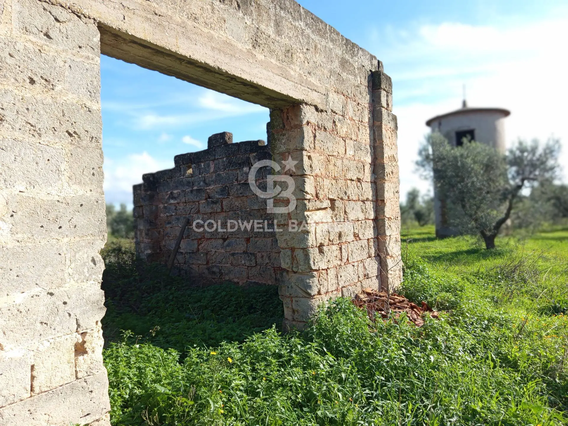 Immagine per Rustico/Casale in vendita a Galatina Contrada Vita Case Rosse 