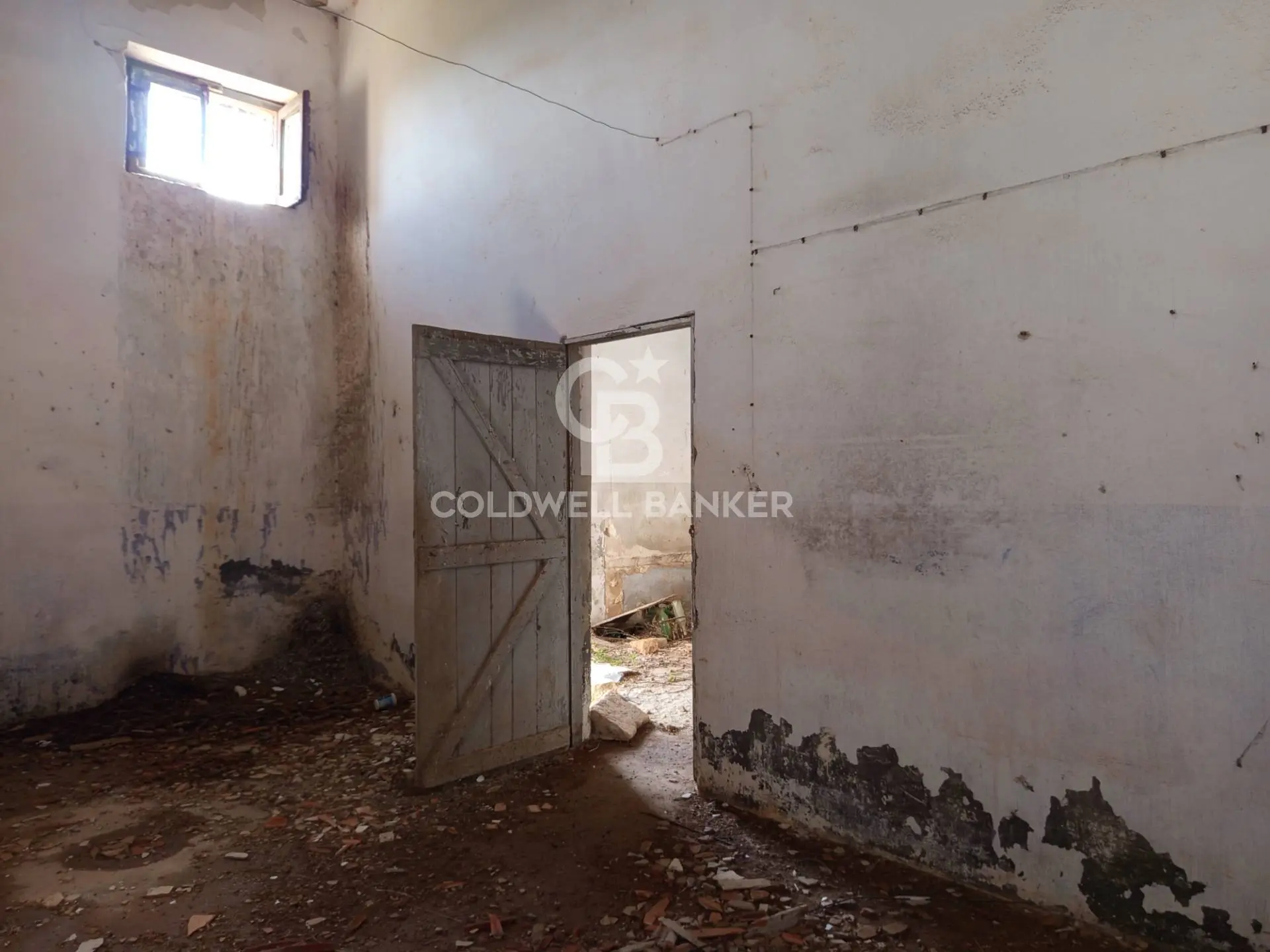 Immagine per Rustico/Casale in vendita a Galatina Contrada Vita Case Rosse 