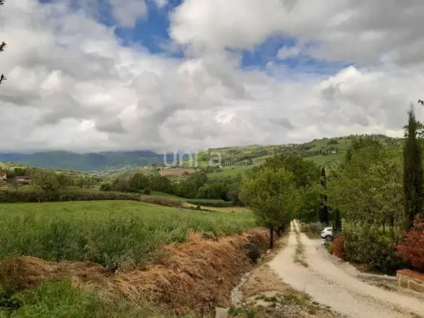 Villa Trifamiliare via Barchio 2, Cupramontana