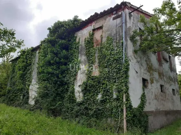 Villa Trifamiliare via Barchio 2, Cupramontana