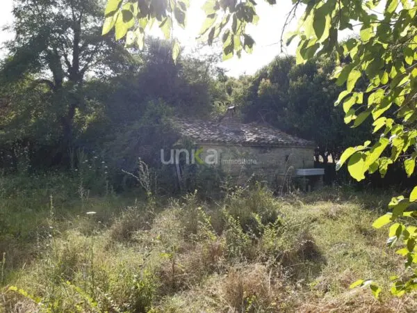 Villa Trifamiliare via Barchio 2, Cupramontana