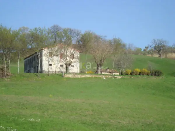Villa Trifamiliare via Barchio 2, Cupramontana