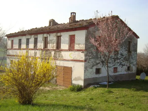Villa Trifamiliare via Barchio 2, Cupramontana