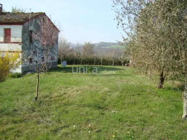 Villa Trifamiliare via Barchio 2, Cupramontana