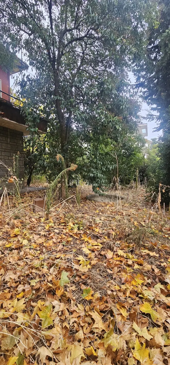 Immagine per Villa trifamiliare in vendita a Jesi viale Verdi snc