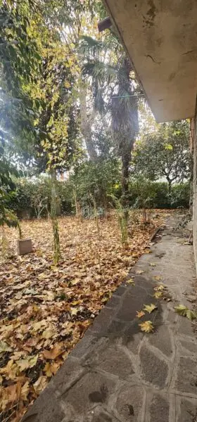 Villa Trifamiliare viale Verdi Snc, Jesi